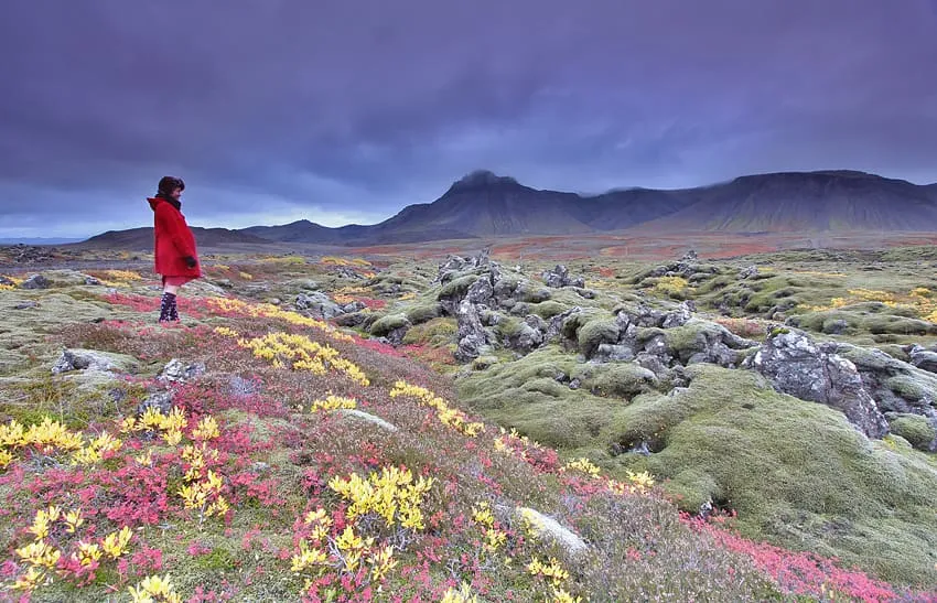 Iceland Autumn