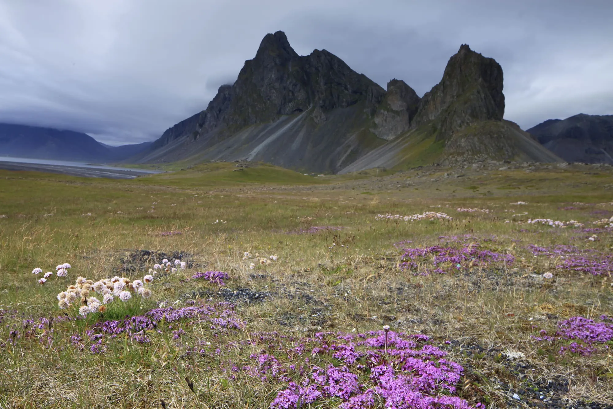 ภาพจากทริป Iceland Summer