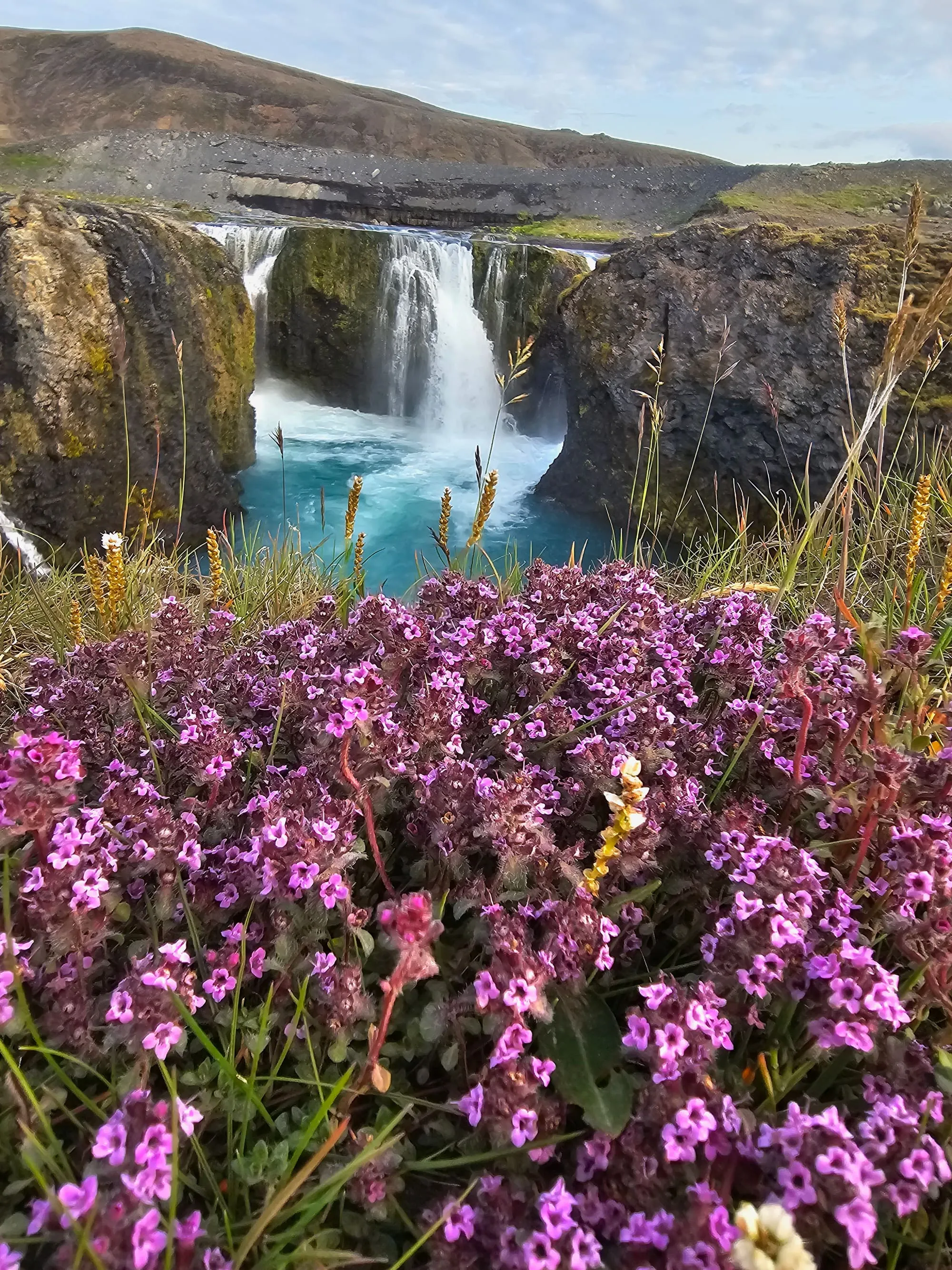 ภาพจากทริป East Greenland & Iceland