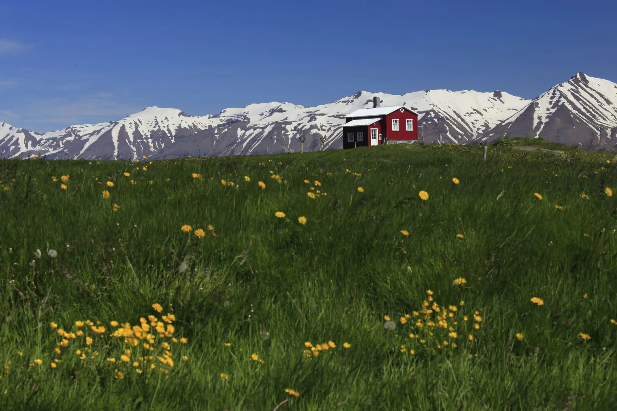 ภาพจากทริป Iceland Summer